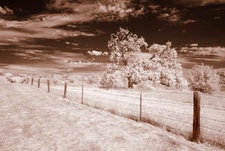 Enlarge photo 275