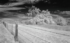Enlarge photo 274