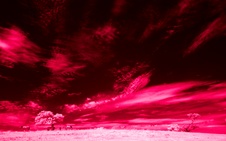 Enlarge photo 272