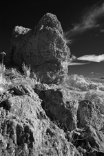 Enlarge photo 307