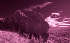 Enlarge photo 314