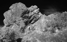 Enlarge photo 313