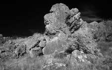 Enlarge photo 312