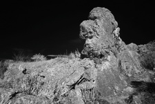 Enlarge photo 311
