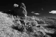Enlarge photo 310