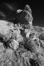 Enlarge photo 309