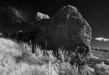 Enlarge photo 308