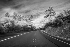 Enlarge photo 324