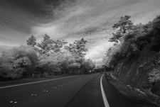 Enlarge photo 340