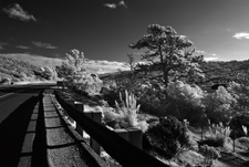 Enlarge photo 338