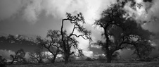 Enlarge photo 90