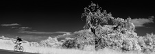 Enlarge photo 64
