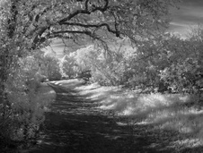 Enlarge photo 59