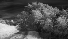 Enlarge photo 58