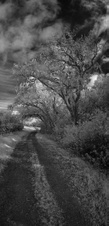 Enlarge photo 57