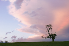 Enlarge photo 104
