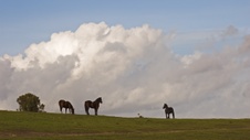 Enlarge photo 94