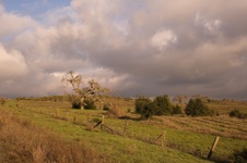 Enlarge photo 111