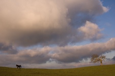 Enlarge photo 107