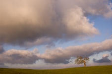 Enlarge photo 106