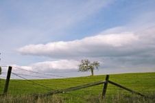 Enlarge photo 113