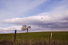 Enlarge photo 112