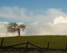 Enlarge photo 135