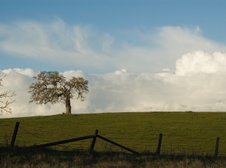 Enlarge photo 134