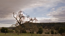 Enlarge photo 366