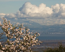 Enlarge photo 351