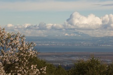 Enlarge photo 353