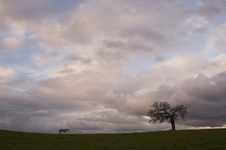 Enlarge photo 357