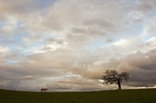 Enlarge photo 118