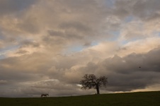 Enlarge photo 356