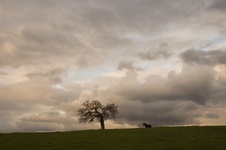 Enlarge photo 355