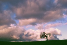 Enlarge photo 97