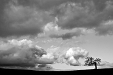 Enlarge photo 102