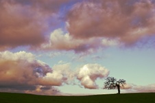 Enlarge photo 98