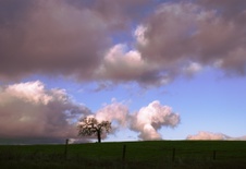 Enlarge photo 99