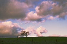 Enlarge photo 100