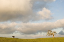 Enlarge photo 108