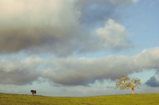 Enlarge photo 109