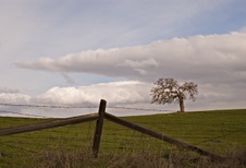 Enlarge photo 114