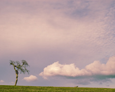 Enlarge photo 116