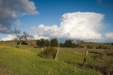 Enlarge photo 125