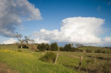 Enlarge photo 124