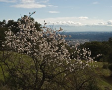Enlarge photo 352