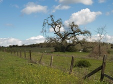 Enlarge photo 361