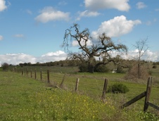 Enlarge photo 122