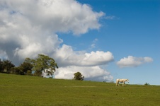 Enlarge photo 120